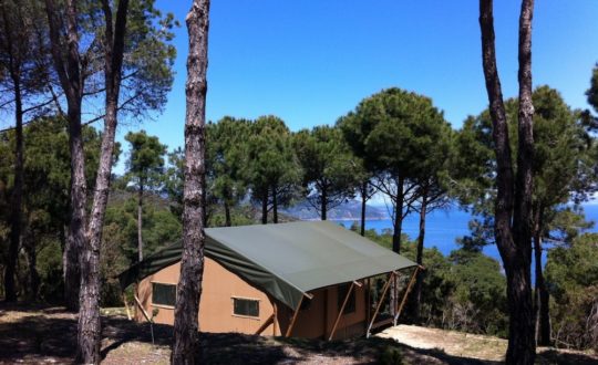 Tenuta delle Ripalte - Glamping.nl