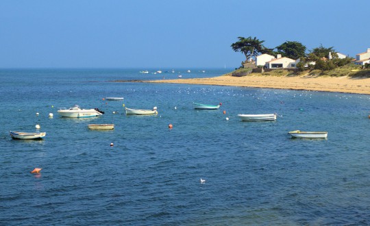 Glamping Vendée