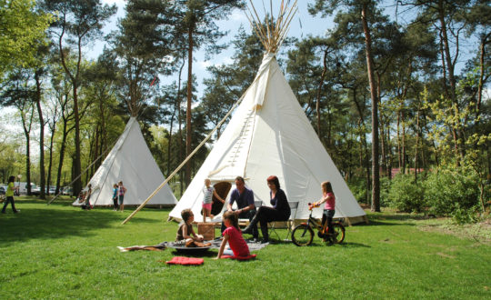 Tipi