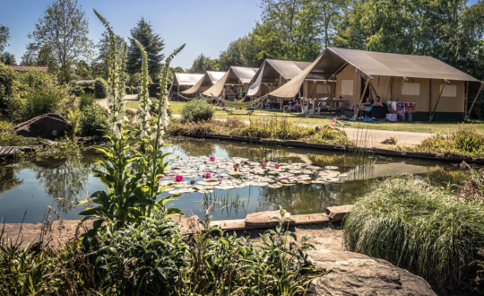 Pelmel Ja anker Luxe camping in Nederland - Glamping.nl