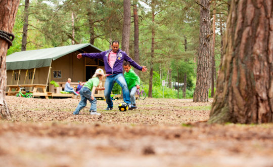 Camping Coldenhove - Glamping.nl