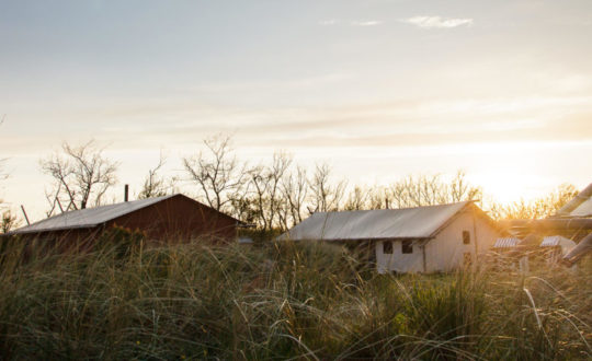 Glamping Gelderland