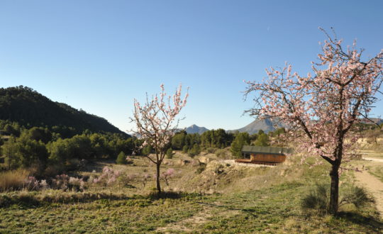 Finca Les Coves - Glamping.nl