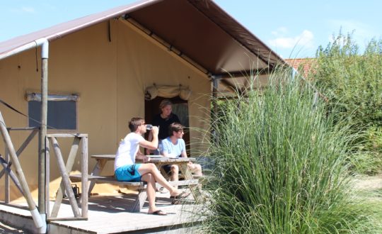 Strandpark De Zeeuwse Kust - Glamping.nl