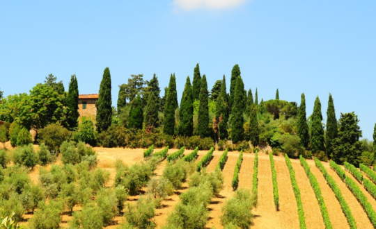 Waarom je moet kiezen voor glamping in Toscane