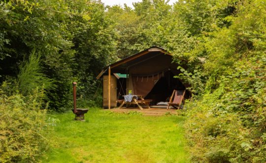 Het Boshuis - Glamping.nl