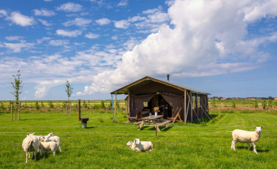 Boerderij Ameland - Glamping.nl