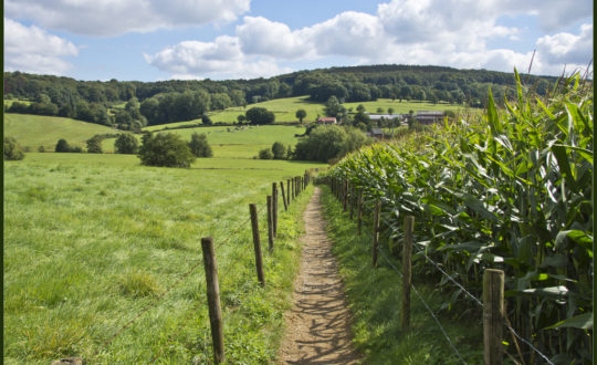 In de natuur