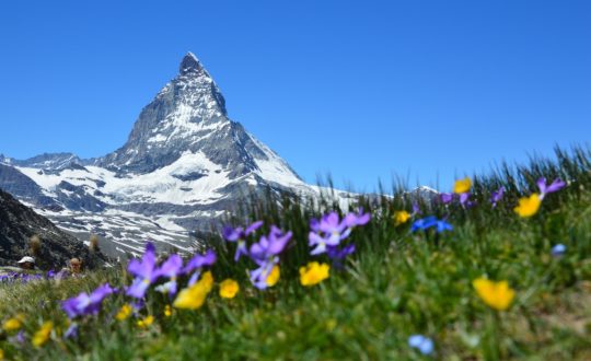 Glamping Zwitserland