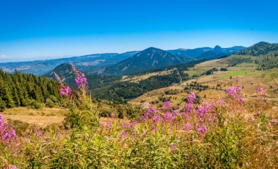 Glamping Auvergne