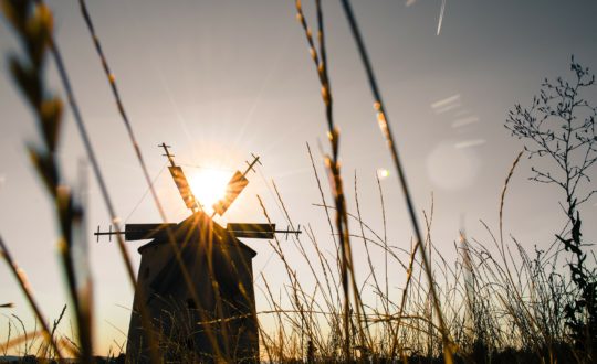 Glamping Noord-Holland