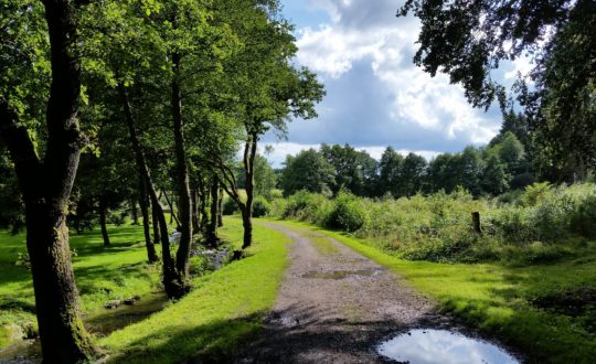 Glamping Ardennen