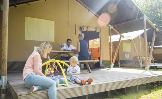 Het Grote Bos - Glamping.nl