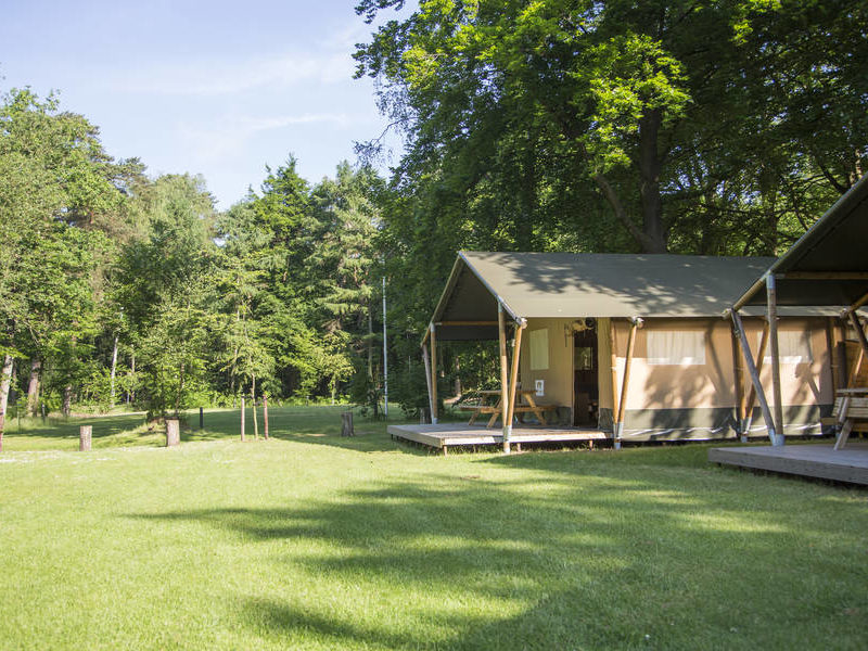 Het Grote Bos, een van de leukste last minutes voor pinksteren