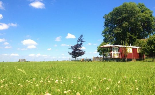 Natuurhuisje in Wezep Oldebroek - Glamping.nl