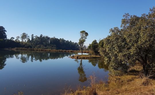 Glamping in traditioneel Swaziland