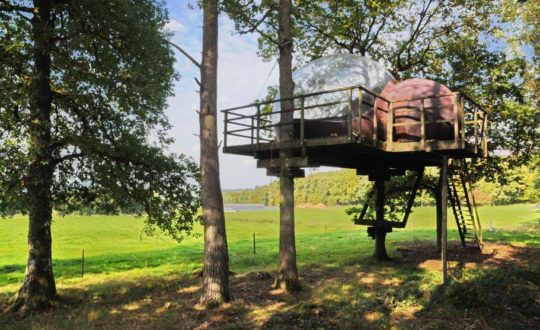 Natuurhuisje in Fisenne - Glamping.nl