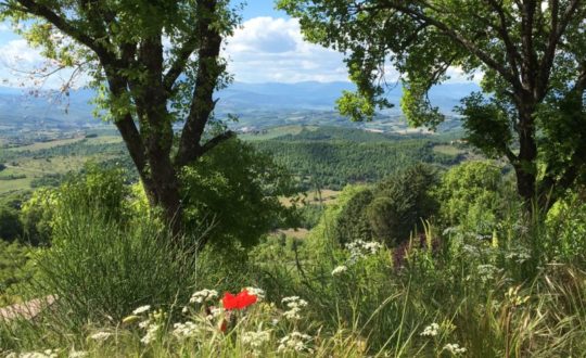 Combineer glamping en cultuur bij Luna del Monte in Umbrië