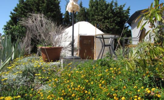 Natuurhuisje in Algarrobo - Glamping.nl