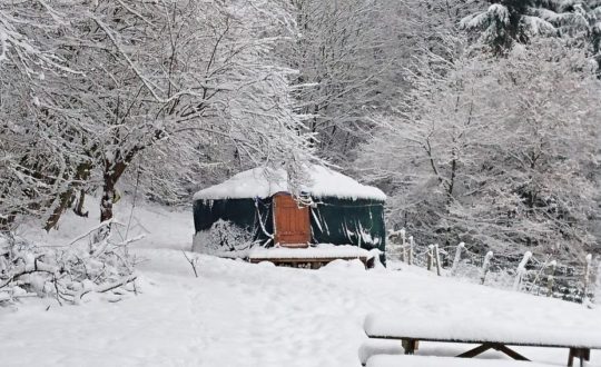 Natuurhuisje in Grimbiemont - Glamping.nl