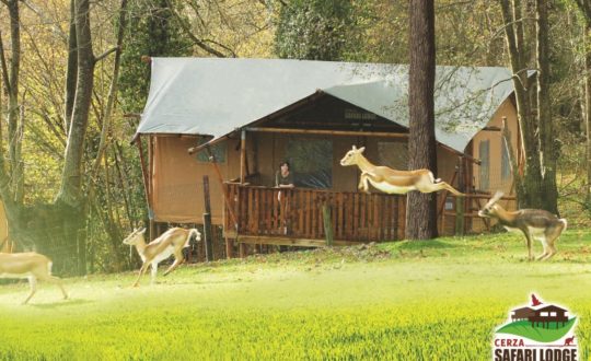 Cerza Safari Lodges - Glamping.nl