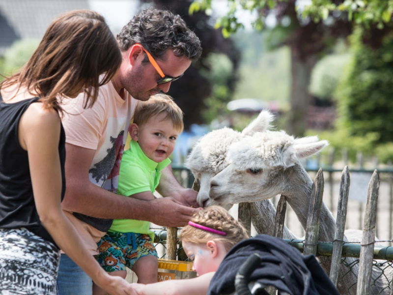 Dierenwei De Acherste Hoef - Glamping