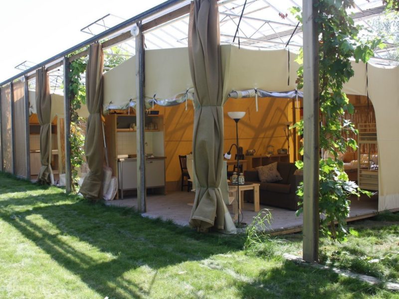 Safaritent Lutjebroek - groepen.nl, glamping.nl