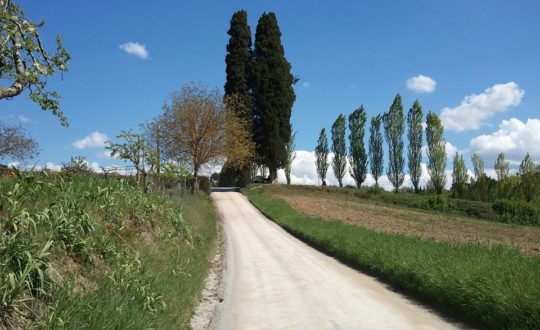 Een glampingroadtrip door Toscane en Le Marche