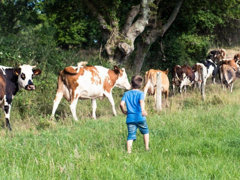 boerderij frankrijk