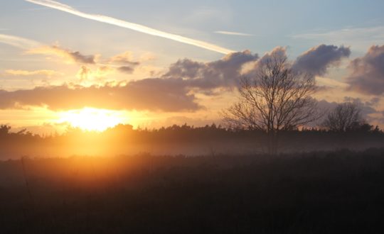 De mooiste fietsroutes in Overijssel