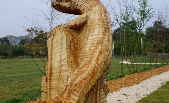 Word een met de natuur dankzij de houtsculpturen route van Resort De Wije Werelt