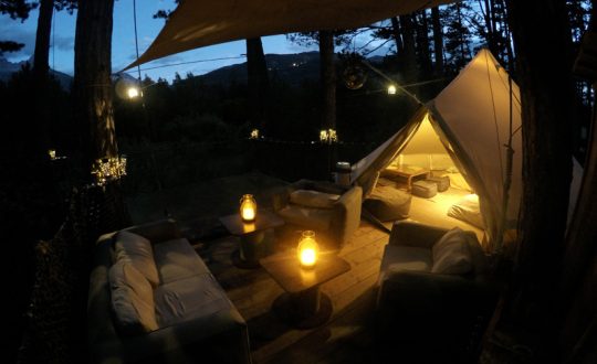 Jungle Lodge King Size - Glamping.nl