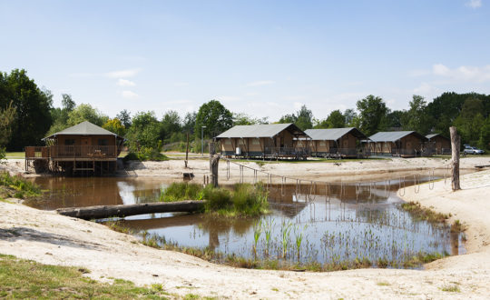 Vakantiepark Sallandshoeve - Glamping.nl