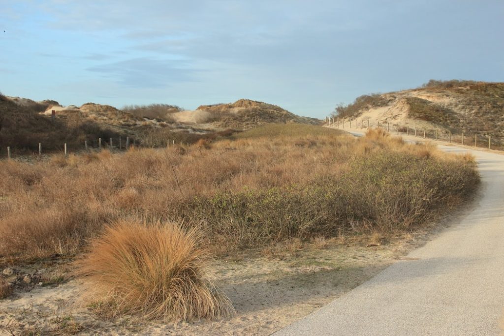 Vakantie in eigen land