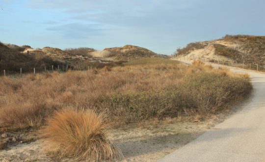 Wat zijn de voordelen van een vakantie in eigen land?