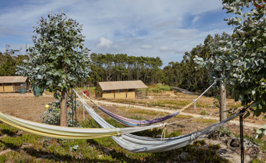 Beleef Portugal op zijn best bij Terra dos Anjos
