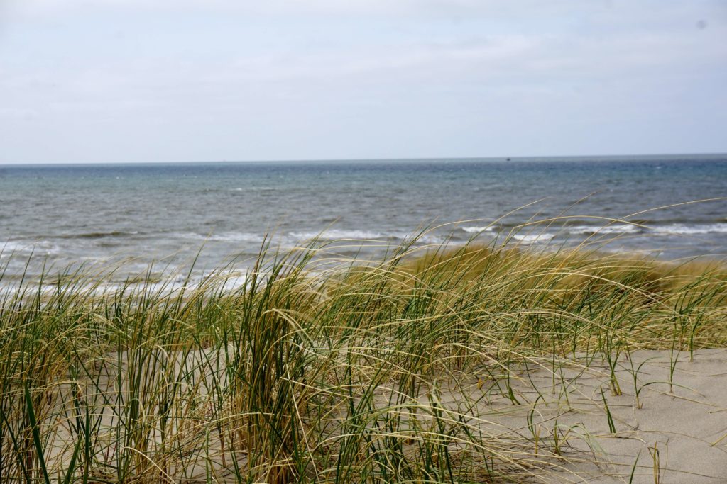 Strandvakantie in de kop van Noord-Holland