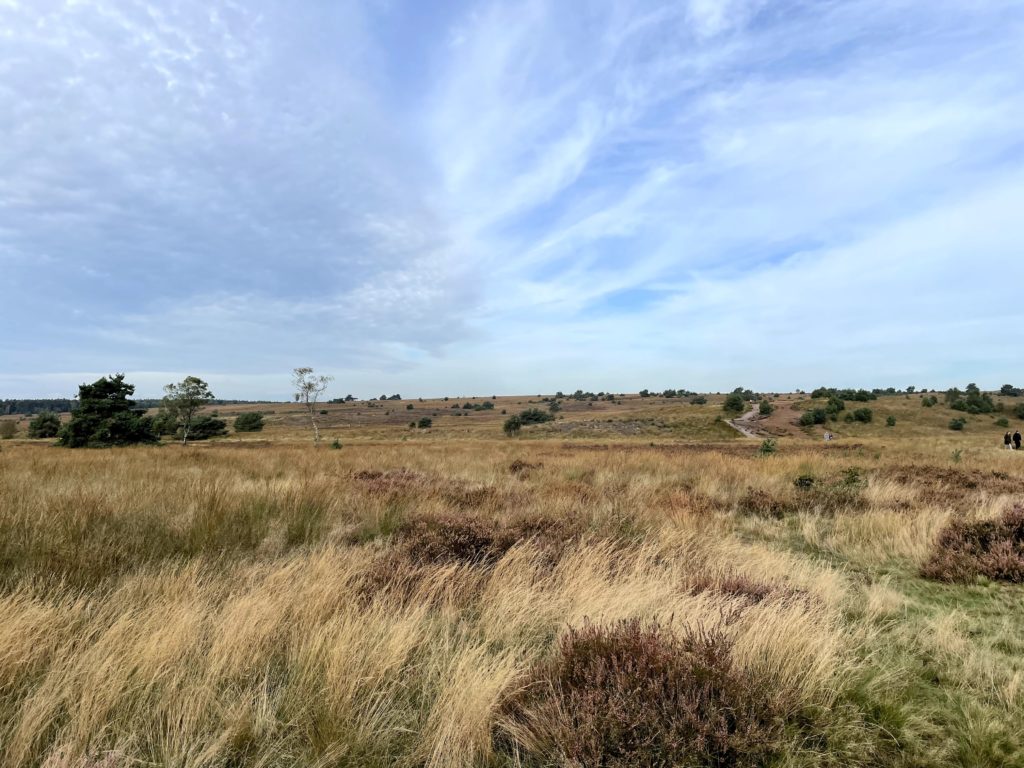 Glamping op de Veluwe bij Buitenplaats Beekhuizen