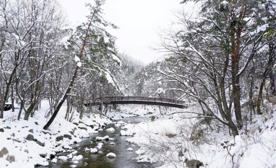 Waarom glamping in Nederland in de winter een aanrader is