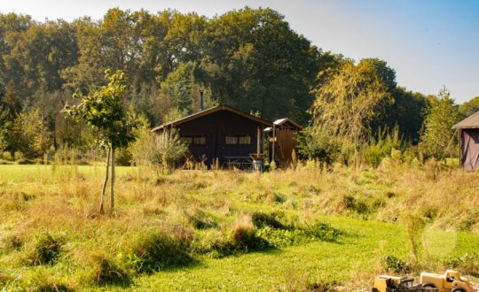 Mariahout in de Hei - Glamping.nl