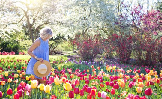 Vier het begin van de lente in eigen land!