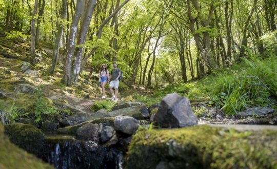 L’Anse du Brick via Sandaya - Glamping.nl