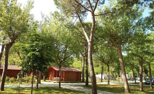 Club del Sole – Viareggio Family Collection - Glamping.nl