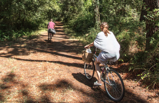Club del Sole – Marina Romea Easy Camping Village - Glamping.nl