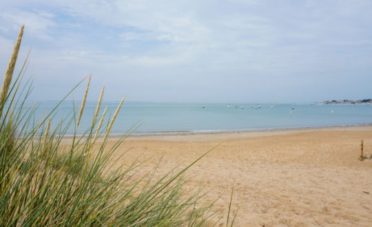 3x Glampings in de Vendée