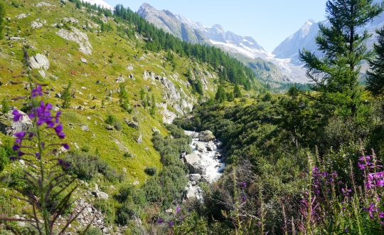 Persreis in de regio Wallis in Zwitserland – Een actieve vakantie in de bergen