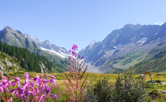 8x Glampingvakantie Zwitserland