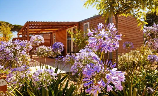 Le Dauphin - Glamping.nl