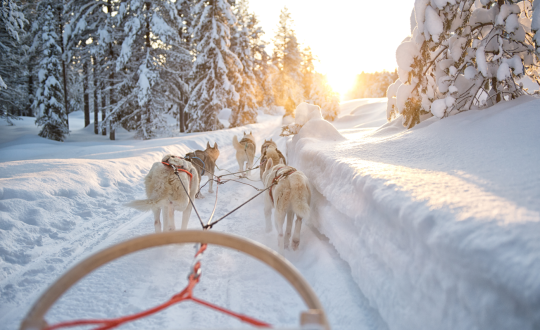 Polar Star - Glamping.nl