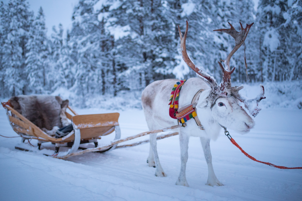 FIns Lapland